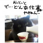 店舗設計ってどんな仕事？