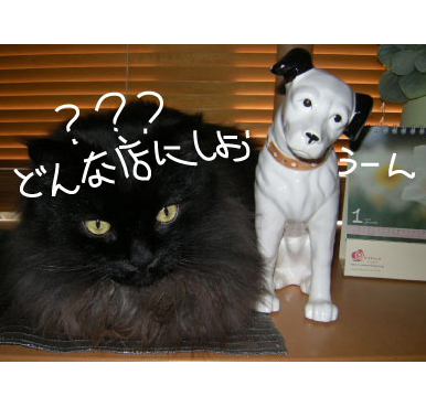 e5908de7a7b0e69caae8a8ade5ae9a-114