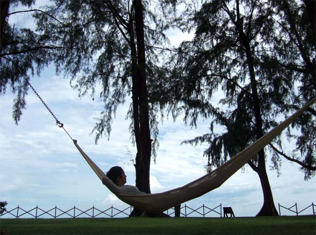 e5908de7a7b0e69caae8a8ade5ae9a-118