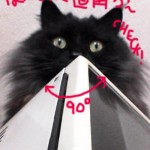 7.現場チェック