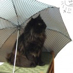 梅雨明けはいつ。