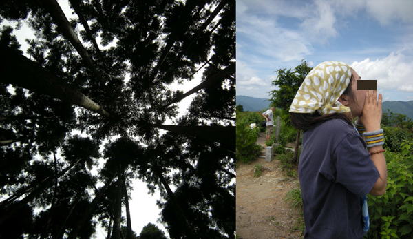 w-e381aee382b3e38394e383bc