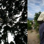 蕪山の恐怖、血まみれのハイキング。