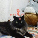 M3号のイライラ-1　　メンチ切る