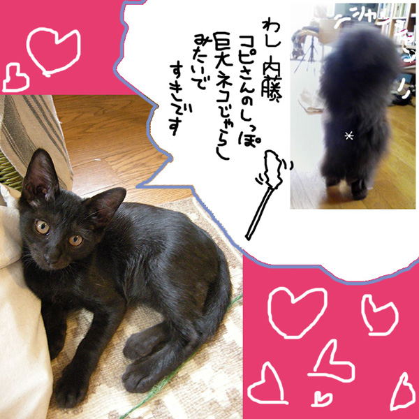 dscn2823e381aee382b3e38394e383bc1