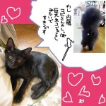 Ｍ３号のイライラ-5 M3号のしっぽのせいでした