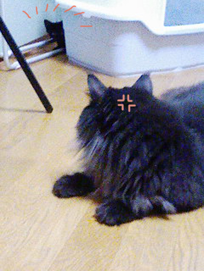 e38184e38289e38184e38289efbc921