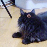 Ｍ3号のイライラ-2　　　誰や！