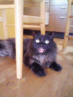 e381afe38181e381afe38181e38193e381b4