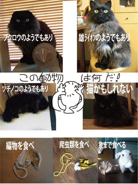 e5908de7a7b0e69caae8a8ade5ae9a-13