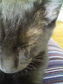 090831ohige 090831ohige