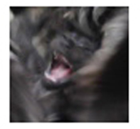 e38195e3828be381aee38193e9a194e382a2e38383e38397