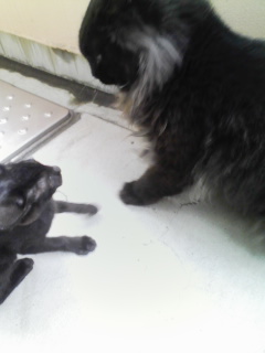 e381abe38289e381bfefbc911