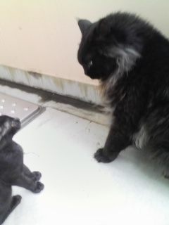 e381abe38289e381bfefbc92