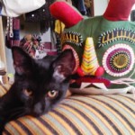 昼寝部には必須の・・・。