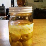 お祝い酒（梅酒）