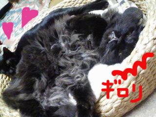 e3818ee3828de3828aefbc91