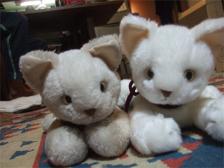 e38193e381a1e38283e382893