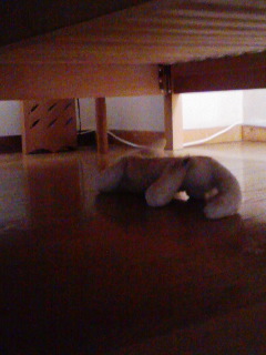 e38193e381a1e38283e38289efbc91