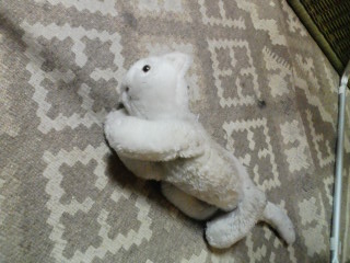 e38193e381a1e38283e38289efbc931