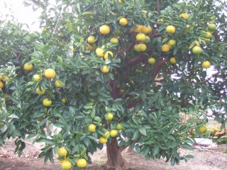 e38380e383b3e38380e383b3efbc912