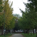 秋へのグラデーション