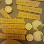 手づくりのナニ？