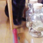 やっぱり戦うのか！