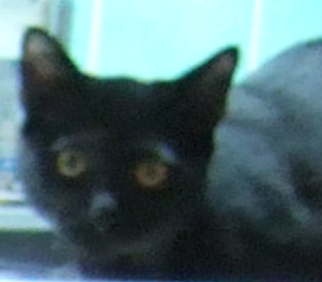 e381aae38184e381a8e38186e38182e381a3e381b7