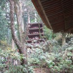 奈良１（長谷寺）