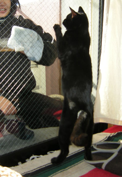 e5908de7a7b0e69caae8a8ade5ae9a-2 e5908de7a7b0e69caae8a8ade5ae9a-2