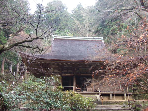 e5aea4e7949fe5afbae381aee382b3e38394e383bc