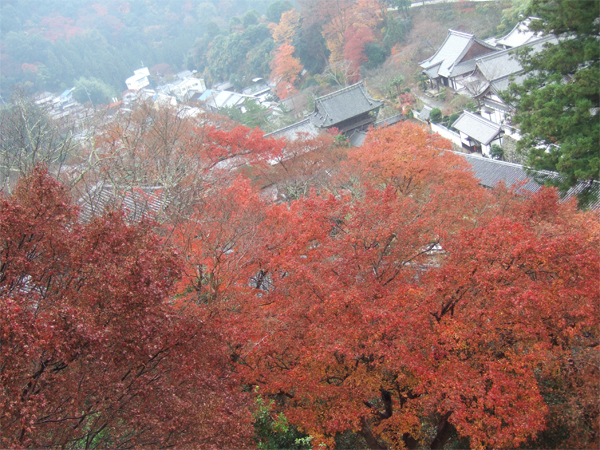 e8889ee58fb0e7b485e89189