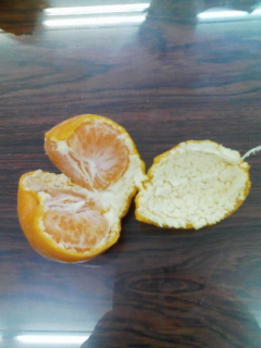 100129_1e3828fe3818be38284e381bee38280e3818d3202 100129_1e3828fe3818be38284e381bee38280e3818d3202