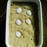 ぬかどこ倶楽部