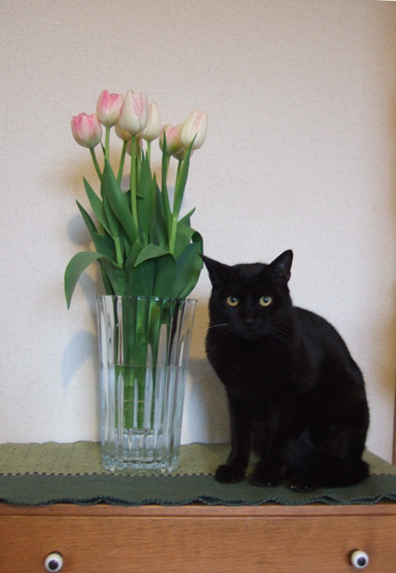 e3838ae382a4e38388e38381e383a5e383bce383aae38383e38397