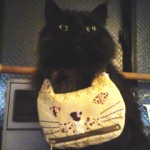 ニーニャニーニョ（猫ポーチ）