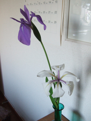 e3818be3818de381a4e381b0e3819fefbc93