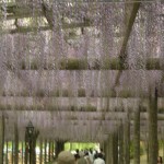 もうすぐ衣替え