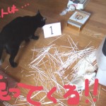 オレオレナイトウの悪事の数々