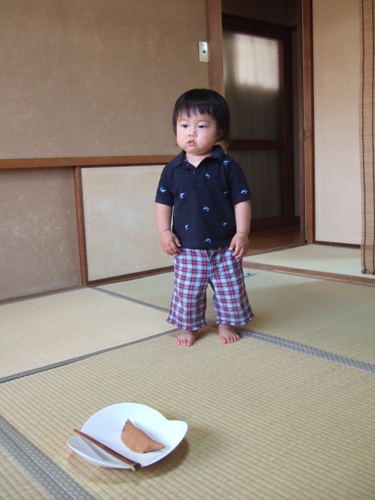 e381a1e381b3e6aebfefbc98 e381a1e381b3e6aebfefbc98