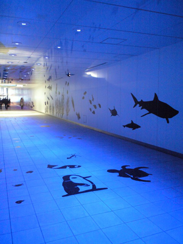 img_960488_42094837_21