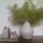 スモークツリー