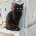 小姑Ｎ（Ｍ４号）その１