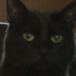 小姑N（M4号）その３