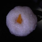 椿もち（白侘助）