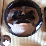 新婚さん　いらっしゃ～い！