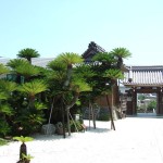 相差（おおさつ）