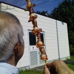 牡蠣BBQとタコ坊主五人衆