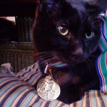 お伊勢さんマラソン